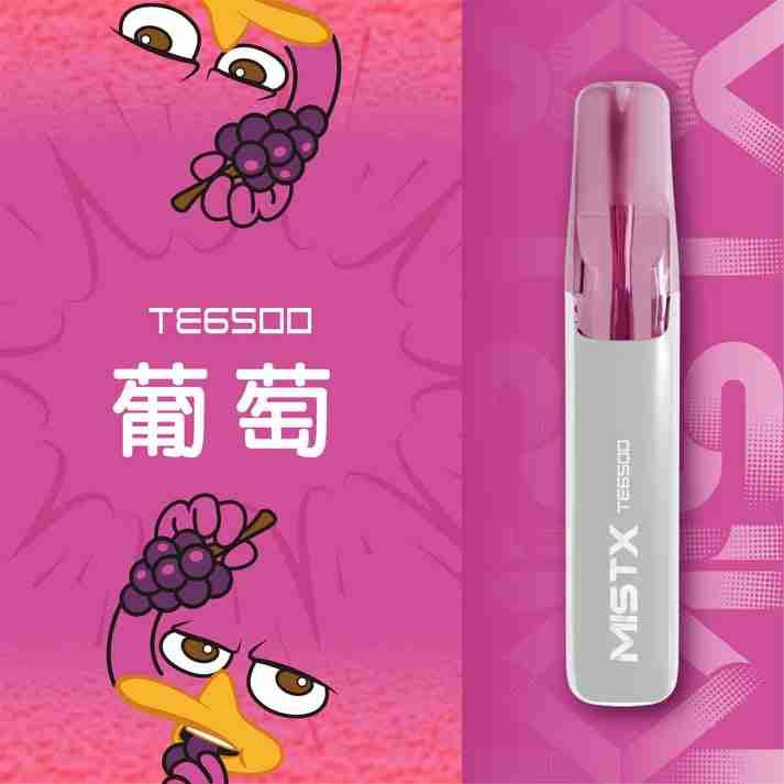 MISTX TE6500-葡萄 MISTX TE6500-葡萄