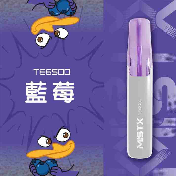 MISTX TE6500-藍莓 MISTX TE6500-藍莓